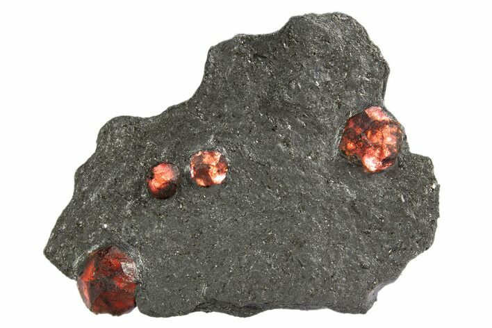 Plate of Four Red Embers Garnets in Graphite - Massachusetts #313523